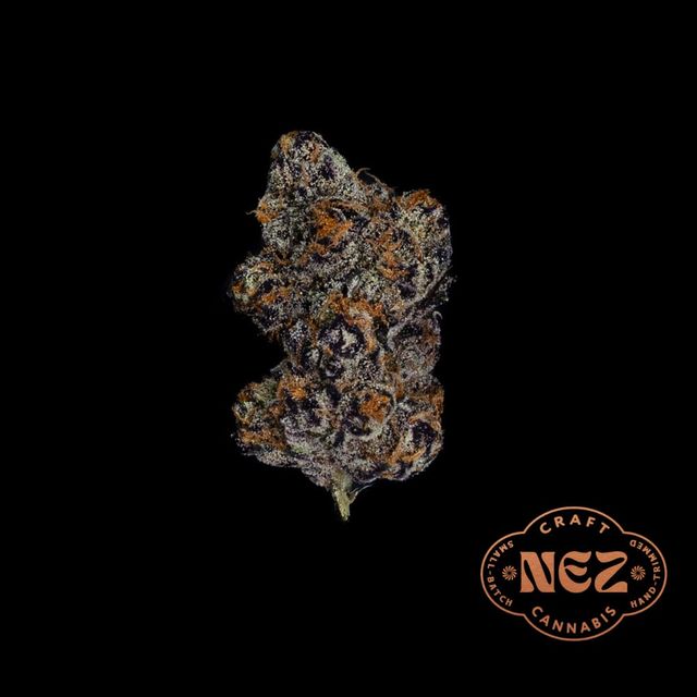 Black Maple #22 Nez