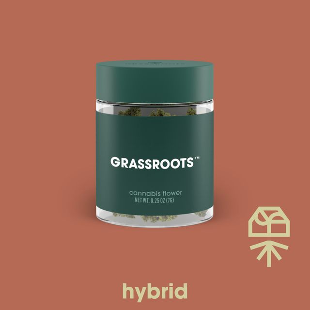 Papaya Drip #3 Grassroots