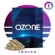 Kush Mints Ozone Kush Mints Ozone