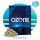 Hashburger Ozone Hashburger Ozone