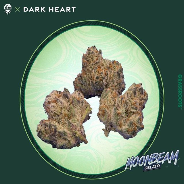 Moonbeam Gelato Grassroots