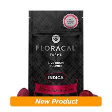 Strawberry Jam Canal Street Runtz Floracal Strawberry Jam Canal Street Runtz Floracal