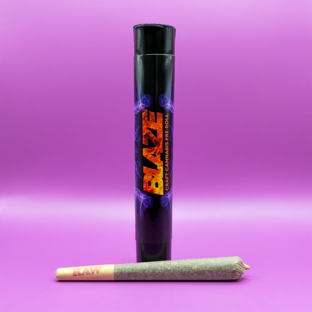 Dutch Dragon Blaze