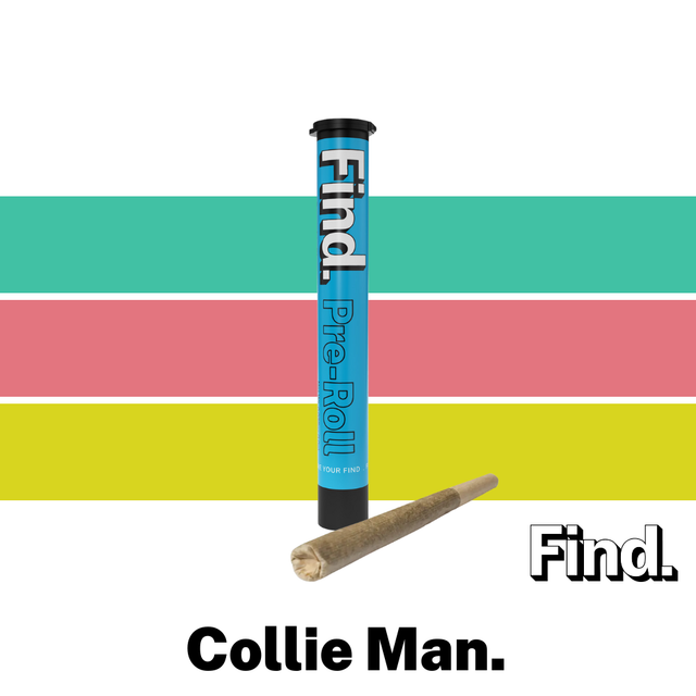 Collie Man Find. Flower Collie Man Find. Flower