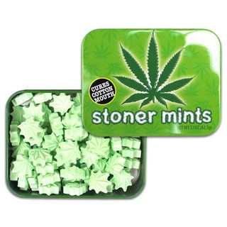 Stoner Boston America
