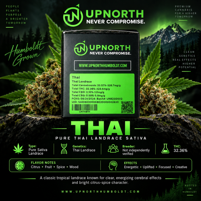 Thai UpNorth Thai UpNorth