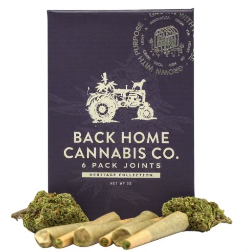 Back Home Cannabis| Gorilla Glue 6 Pack |Pre Roll