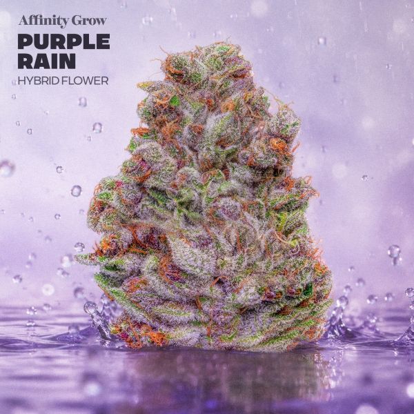 Purple Rain Affinity Grow