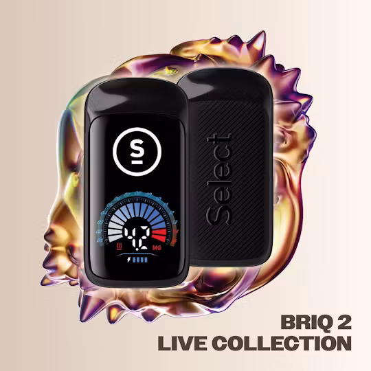 Wedding Cake Live Collection Briq2