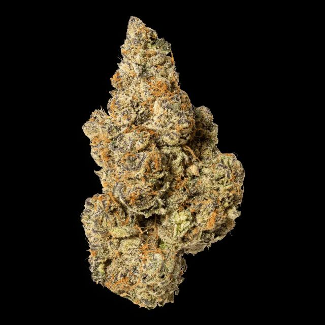 Grape Cream Cake Campfire Cannabis