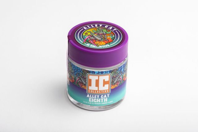 I.C. Collective Alley Cat Hybrid Illinois Collective