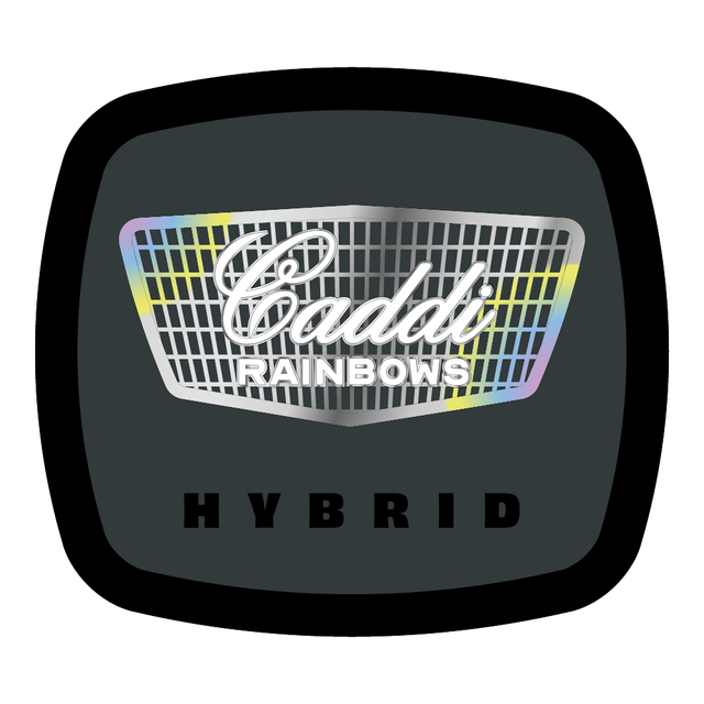 Caddi Rainbows Hybrid 93 Boyz Caddi Rainbows Hybrid 93 Boyz