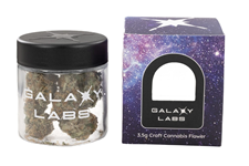Cap Junky Hybrid Galaxy