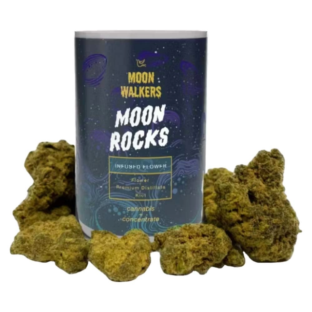 Problem Child Moon Rocks Moon Walkers