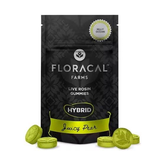 Juicy Pear Billy Ocean Floracal