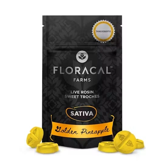 Golden Pineapple Tangieberto Floracal Golden Pineapple Tangieberto Floracal