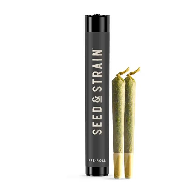 KY Jealous Seed & Strain