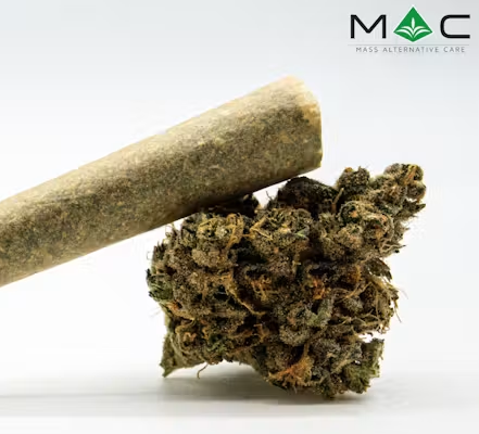 Nor'Cheeser #6 Pre-Roll MAC Nor'Cheeser #6 Pre-Roll MAC