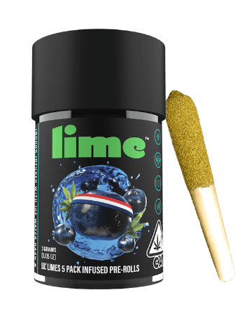 Blueberry Headband Lime