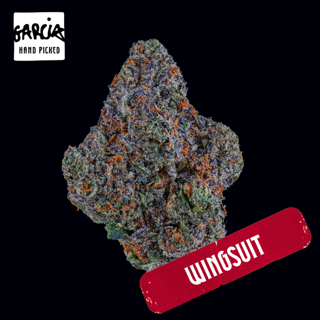 Wingsuit 14G Flower Garcia Hand Picked