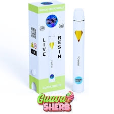 Guava Sherb