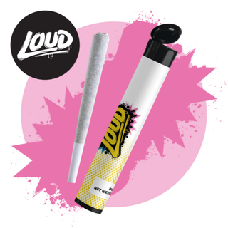 Hypnotik Loud