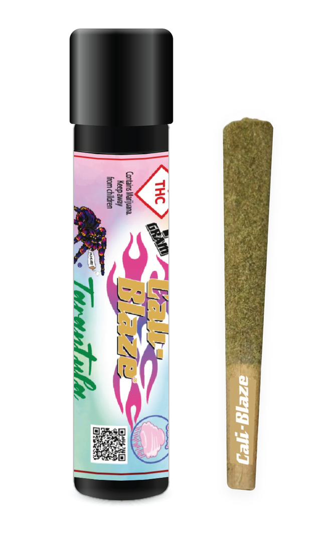 Tarantula Cotton Cloud CALI BLAZE