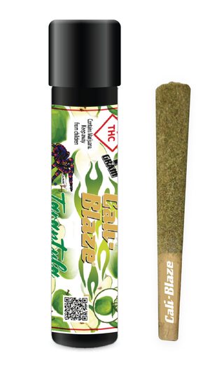 Green Apple Tarantula CALI BLAZE