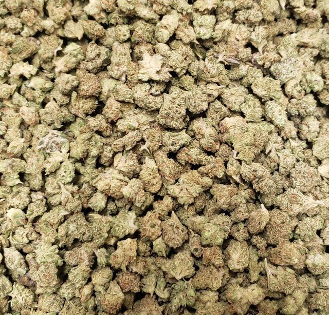 Durban Kush Options Grow