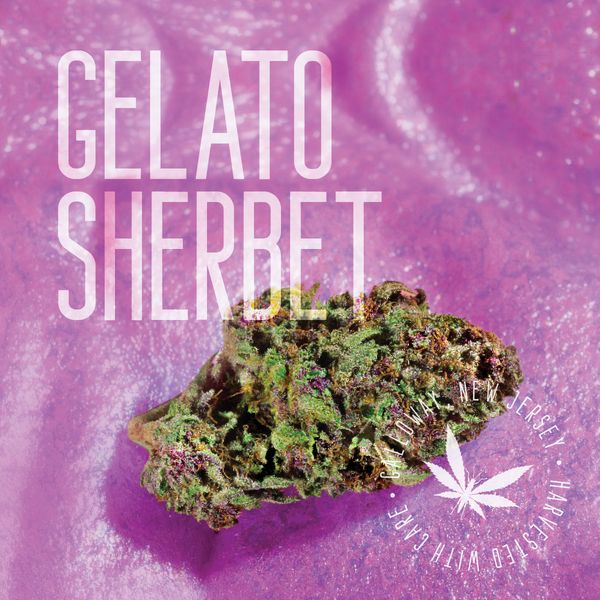 Gelato Sherbet Grasshopper Farms