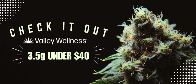 Cannabis Promo, Cannabis Sales, Cannabis Discounts, Cannabis on Sale, 3.5g Under $40!