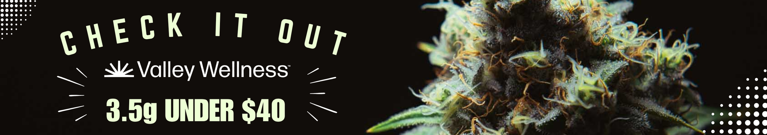 Cannabis Promo, Cannabis Sales, Cannabis Discounts, Cannabis on Sale, 3.5g Under $40!