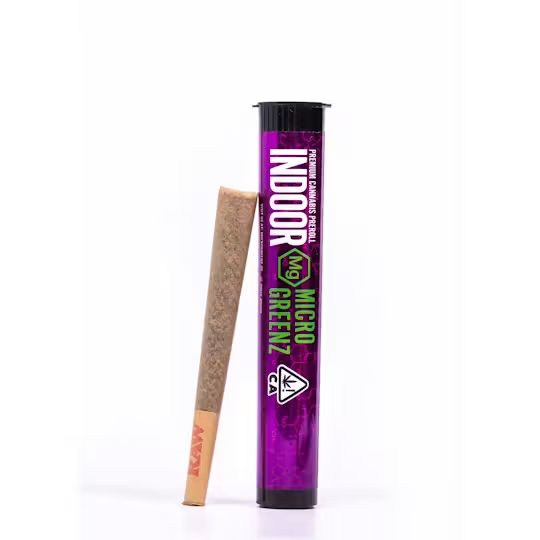 Cindy 99 x Purple Haze Micro Greenz