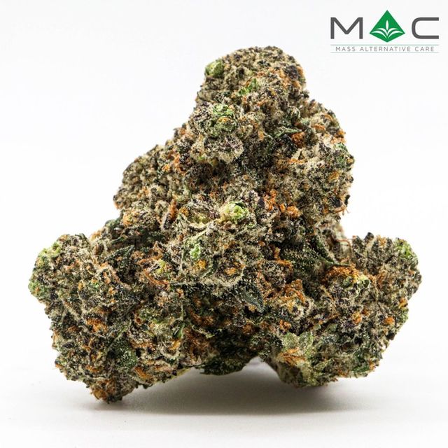 Juniper Jive Mass Alternative Care (MAC)