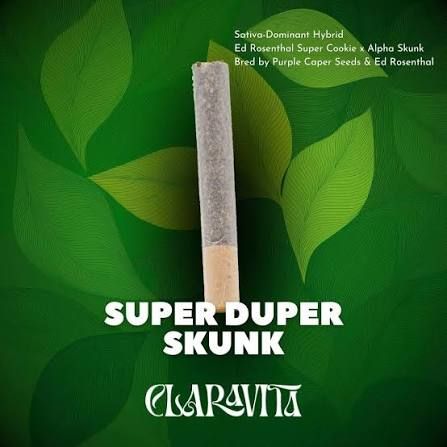 Super Duper Skunk - Freedom Flares - (PR) (Cannon) Claravita