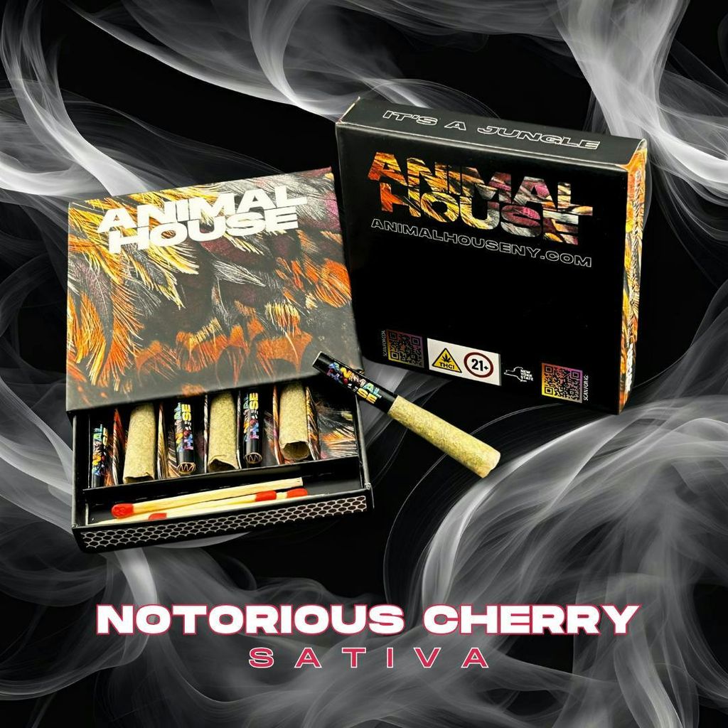 Animal House | Notorious Cherry| Kief Infused Pre-Roll | 7pk
