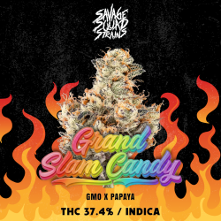 Grand Slam Candy Savage Squad