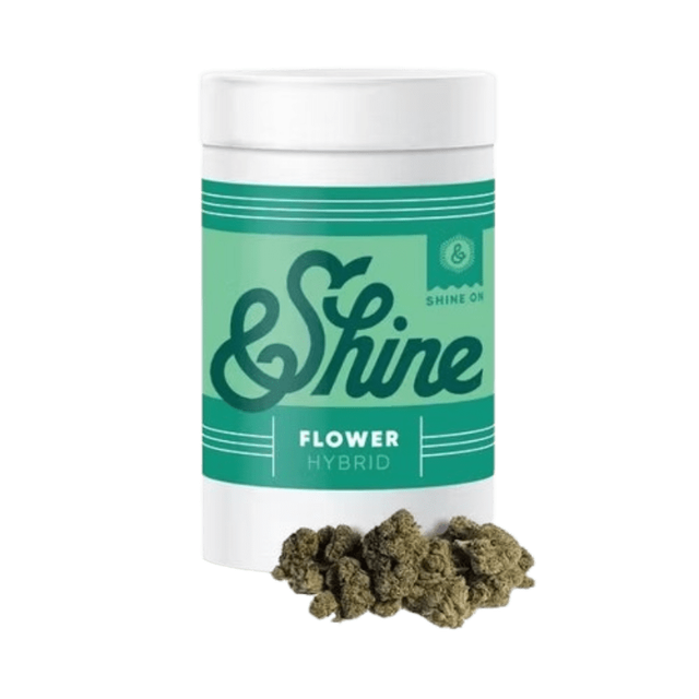 FLAVORBOW &SHINE FLAVORBOW &SHINE
