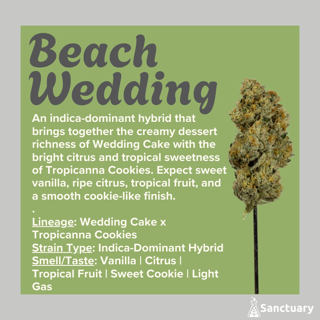 Beach Wedding Sanctuary