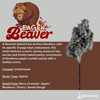 Eager Beaver Sanctuary