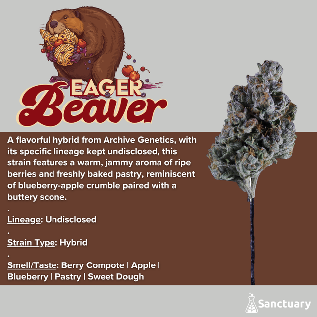 Eager Beaver Sanctuary Eager Beaver Sanctuary
