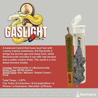 Gaslight Sanctuary