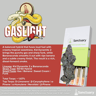 Gaslight Sanctuary
