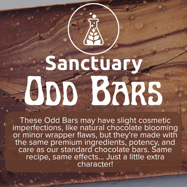 Odd Bar - Dark Sanctuary