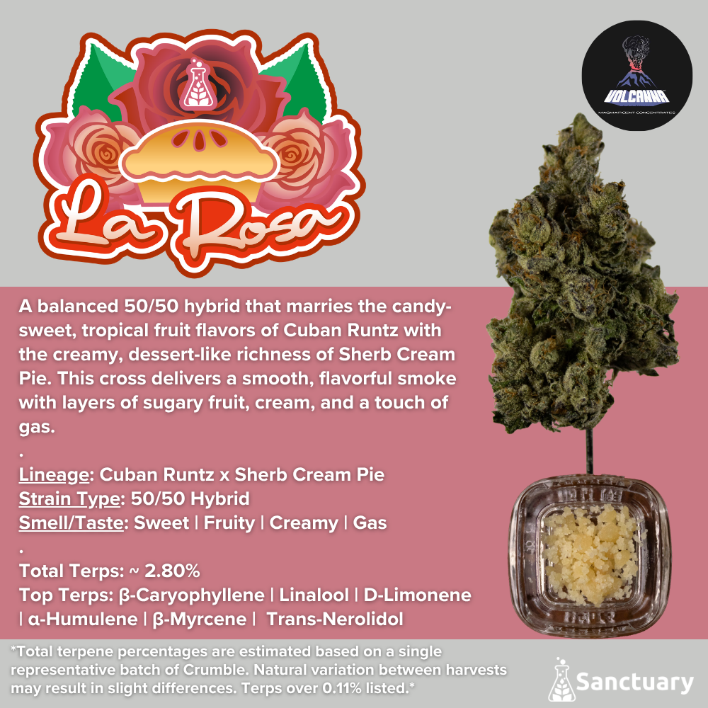 Baller Jar - La Rosa - Cured Resin