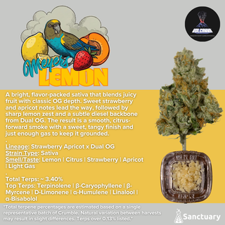 Baller Jar - Meyers Lemon - Cured Resin Volcanna