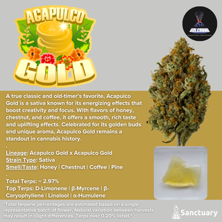 Acapulco Gold - Cured Resin Sanctuary