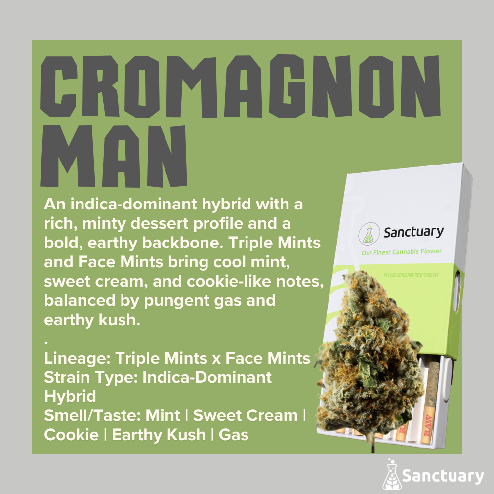 Cromagnon Man