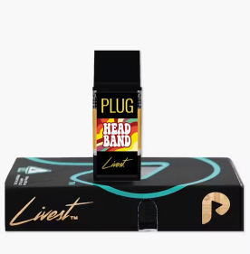 HeadBand PlugPlay