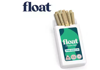 Reckless Driver 10-Pack Mini Pre-Rolls Float
